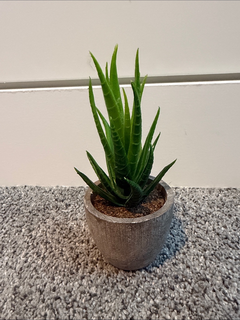 Small Artificial Aloe Succulent in Gray Concrete Pot - Green